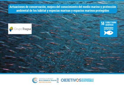 Actuaciones de conservación, mejora del conocimiento del medio marino y protección ambiental de los hábitat y especias marinas y espacios marinos protegidos. ODS: 14. Grupo Tragsa